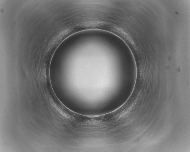 X0000073900633200608111131