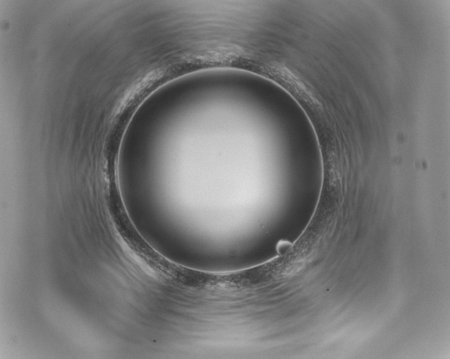 X0000073900634200608111131