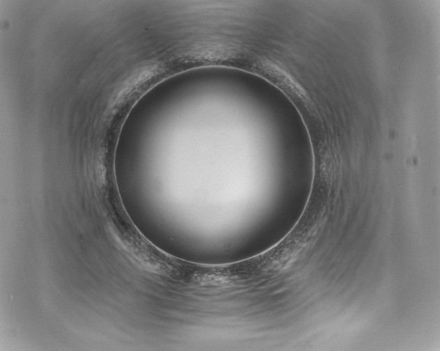 X0000073900635200608111131