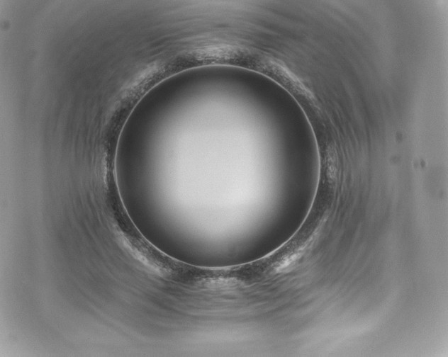 X0000073900637200608111131