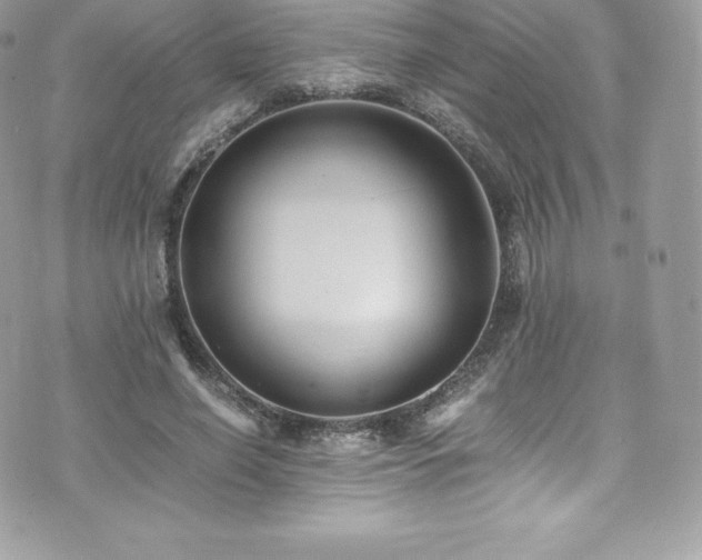 X0000073900638200608111131