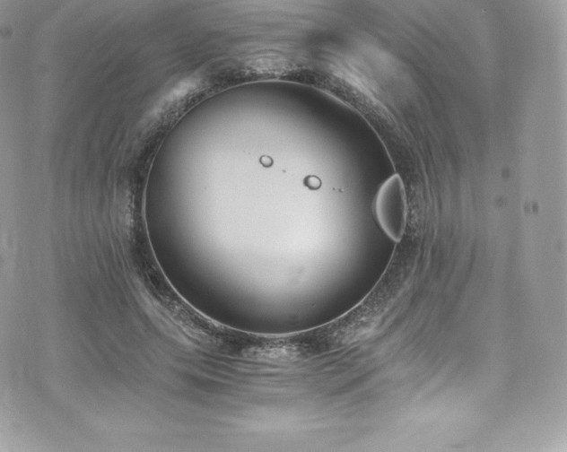 X0000073900639200608111131