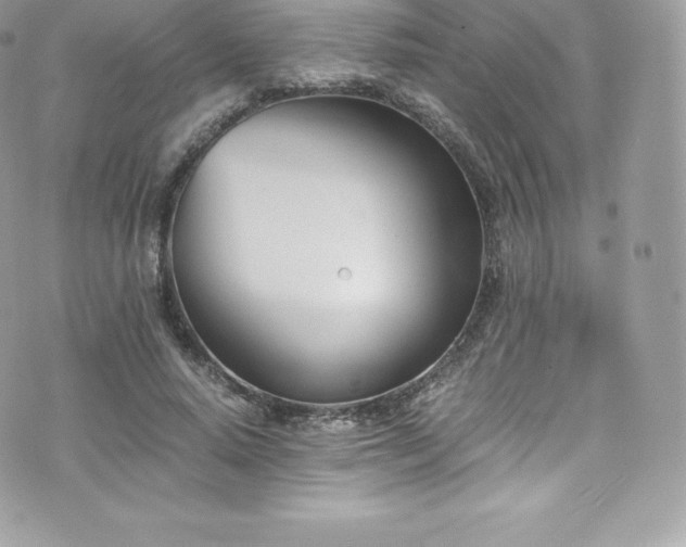 X0000073900640200608111131