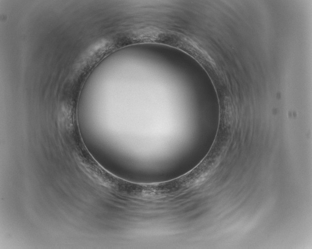 X0000073900641200608111131