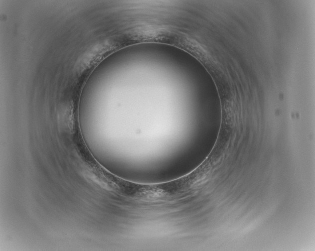 X0000073900642200608111131