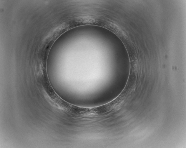 X0000073900643200608111131