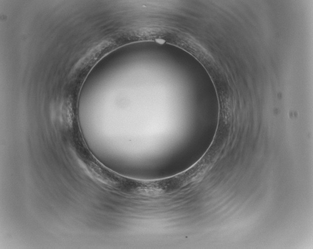 X0000073900644200608111131