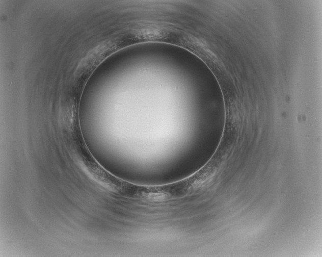 X0000073900645200608111131