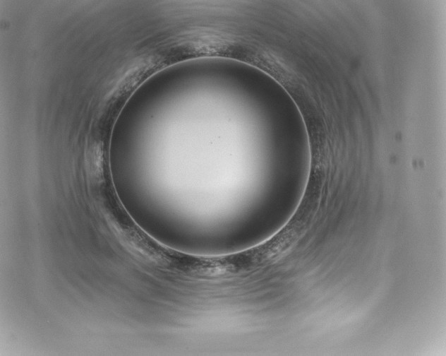 X0000073900646200608111131