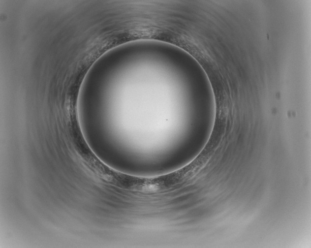 X0000073900647200608111131