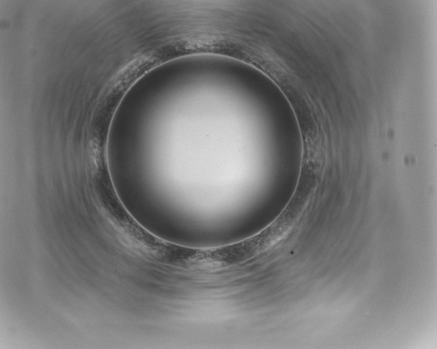 X0000073900648200608111131