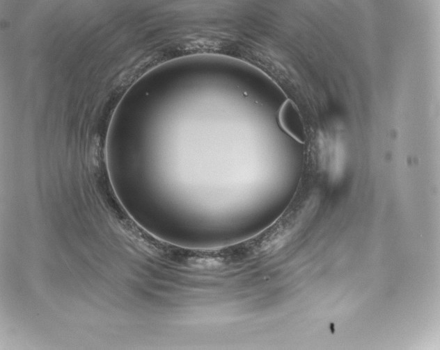 X0000073900649200608111131