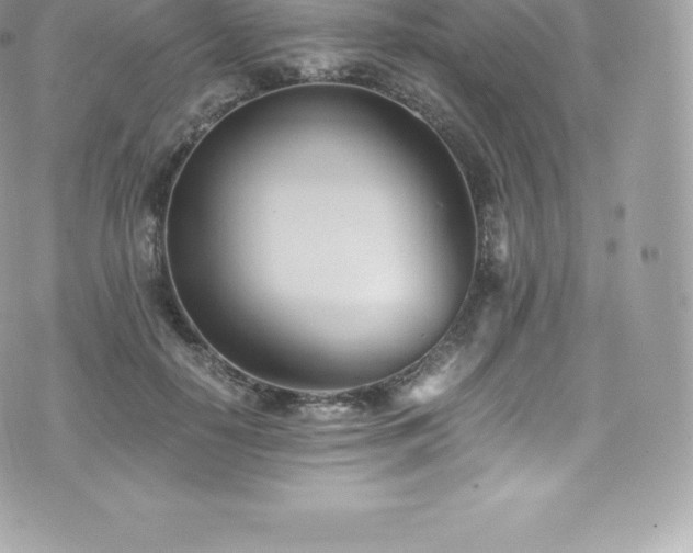 X0000073900650200608111131