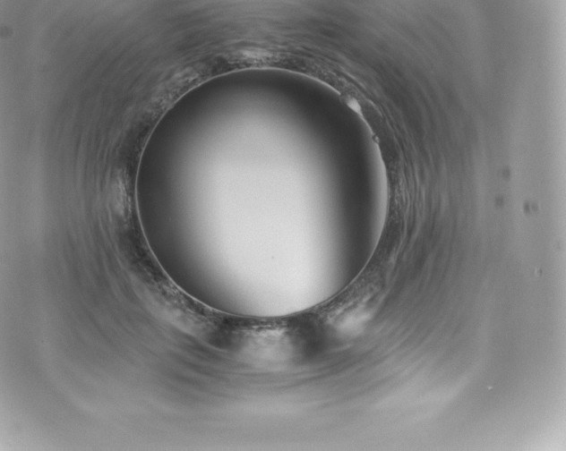 X0000073900651200608111131