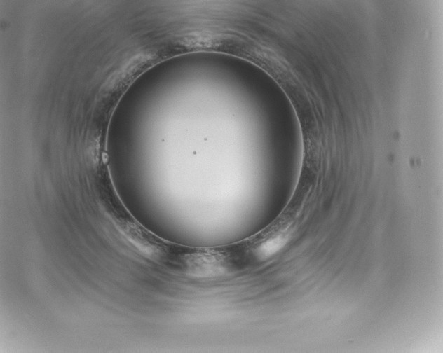 X0000073900652200608111131