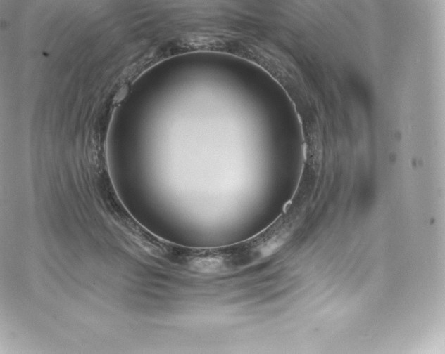 X0000073900653200608111131