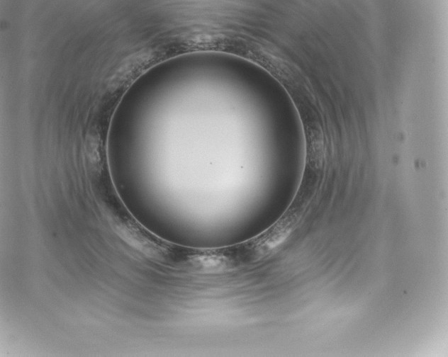 X0000073900654200608111131