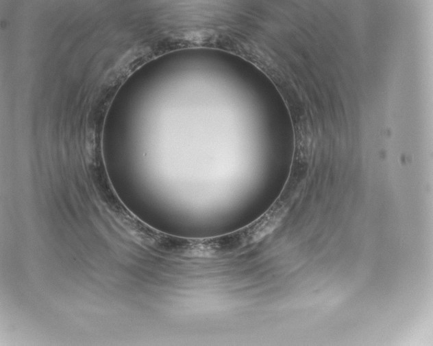 X0000073900656200608111131