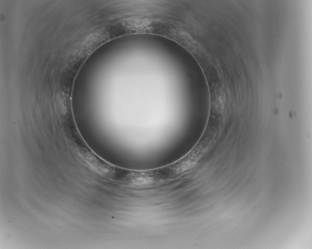 X0000073900658200608111131