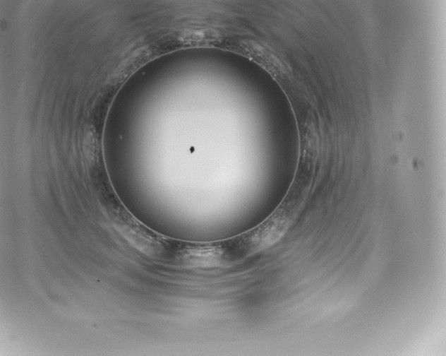 X0000073900659200608111131