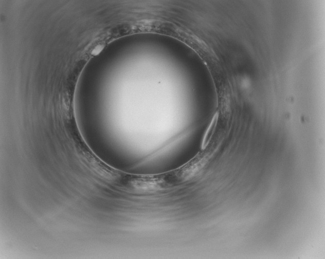 X0000073900661200608111131