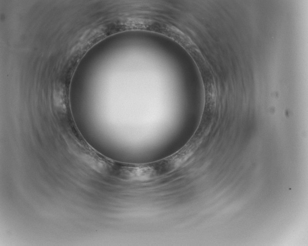 X0000073900663200608111131