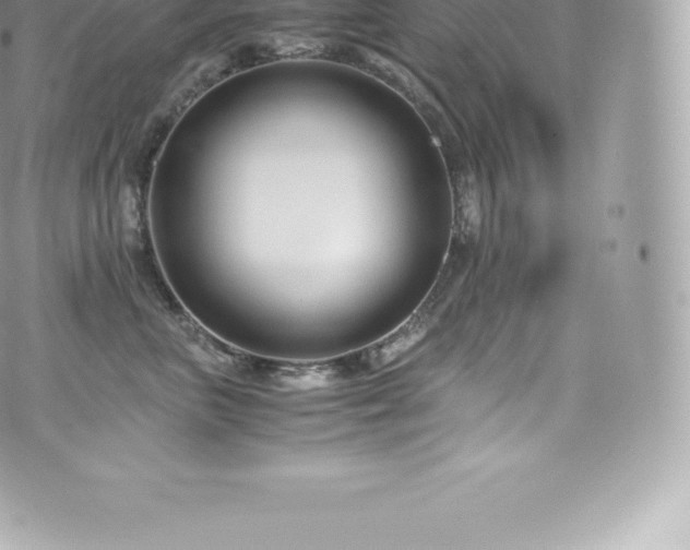 X0000073900667200608111131