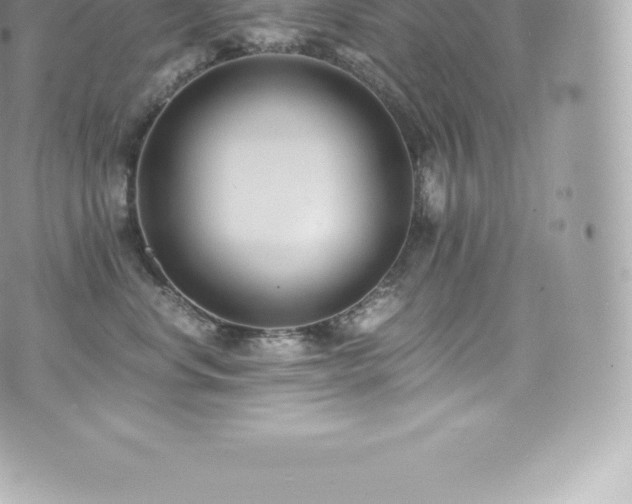 X0000073900668200608111131