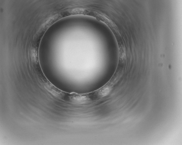 X0000073900669200608111131