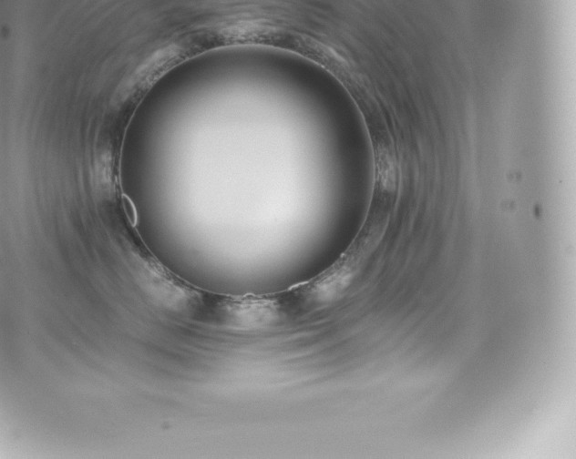 X0000073900670200608111131