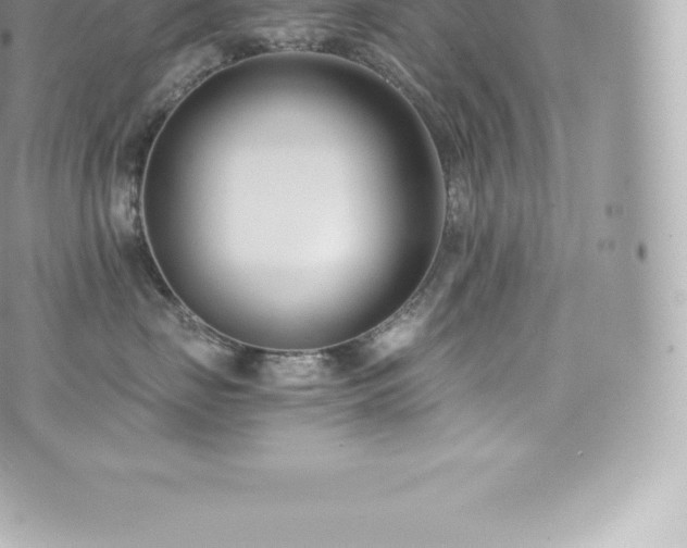 X0000073900671200608111131