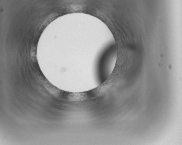 X0000073900672200608111131