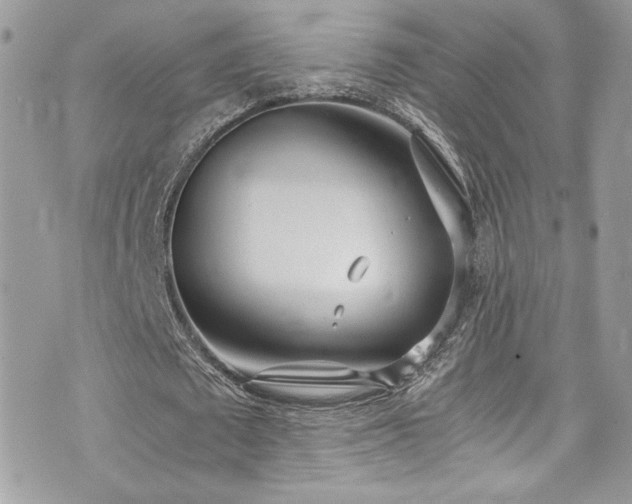 X0000073900673200608111131