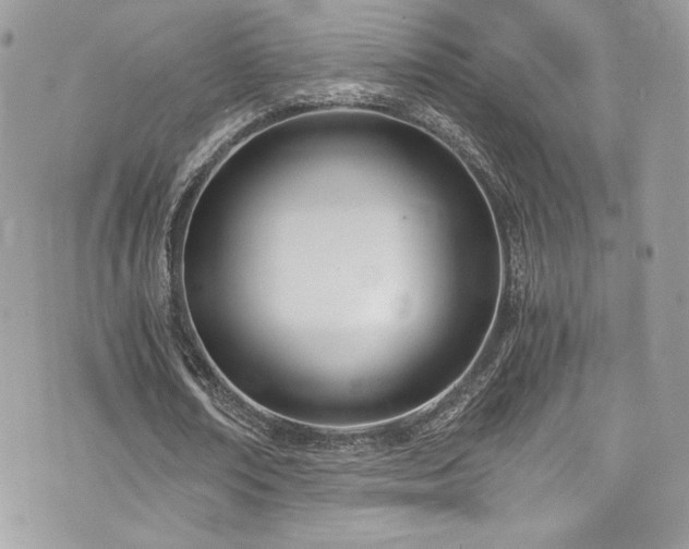 X0000073900674200608111131