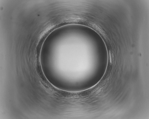 X0000073900675200608111131