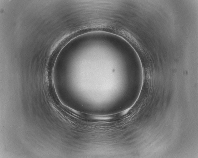 X0000073900676200608111131