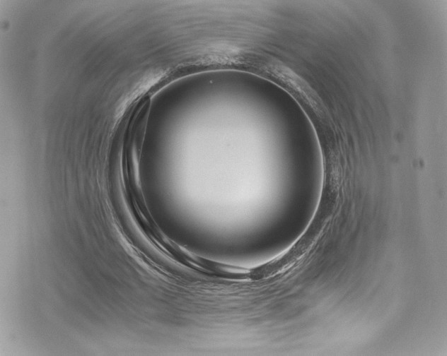 X0000073900677200608111131