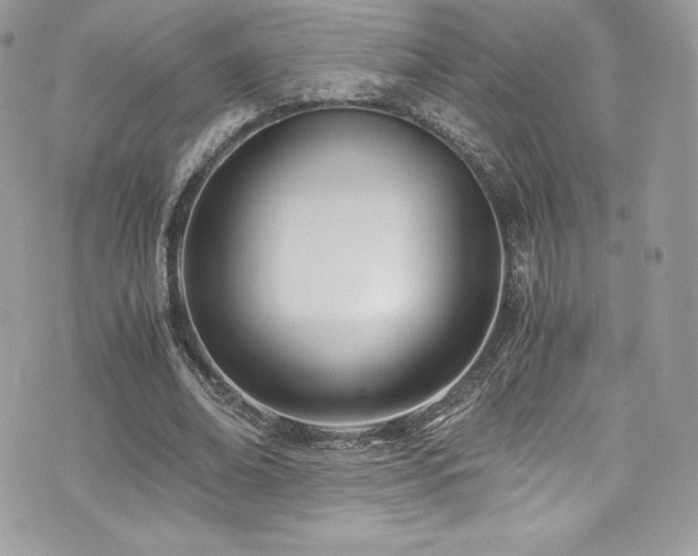 X0000073900678200608111131