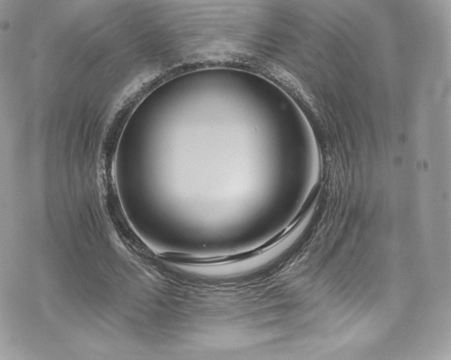 X0000073900680200608111131