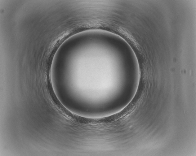 X0000073900681200608111131