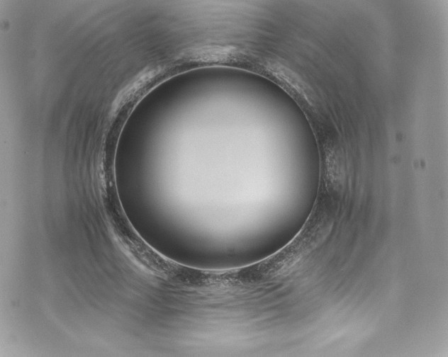 X0000073900682200608111131