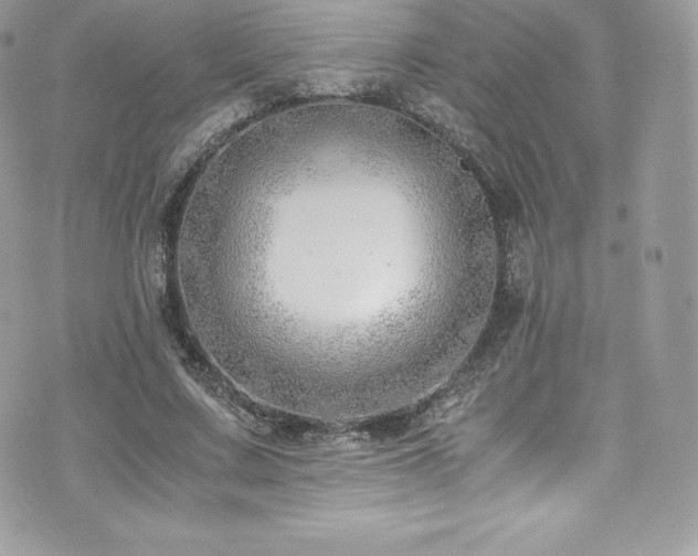 X0000073900683200608111131