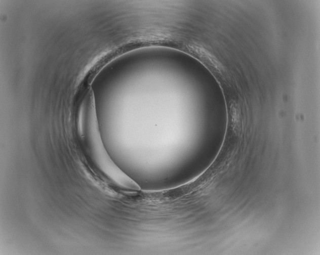 X0000073900684200608111131