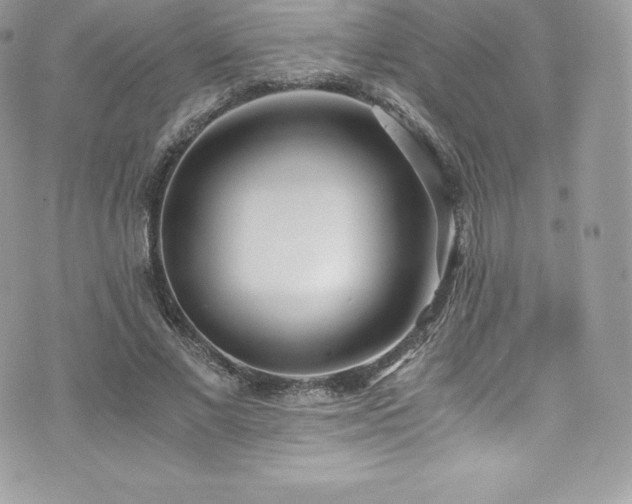 X0000073900685200608111131