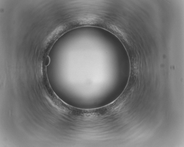 X0000073900686200608111130