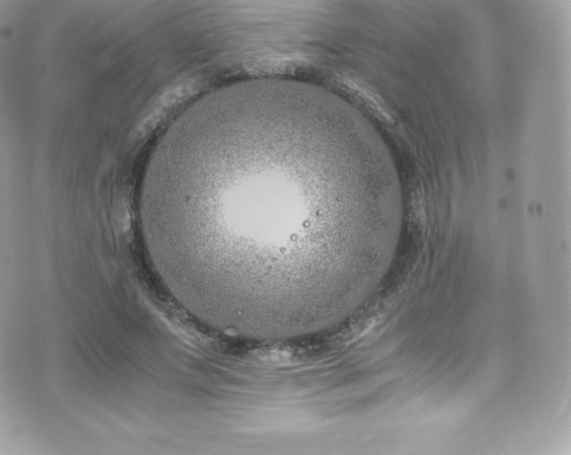 X0000073900687200608111130