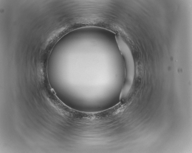 X0000073900688200608111130