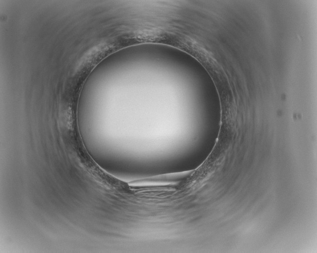 X0000073900689200608111130