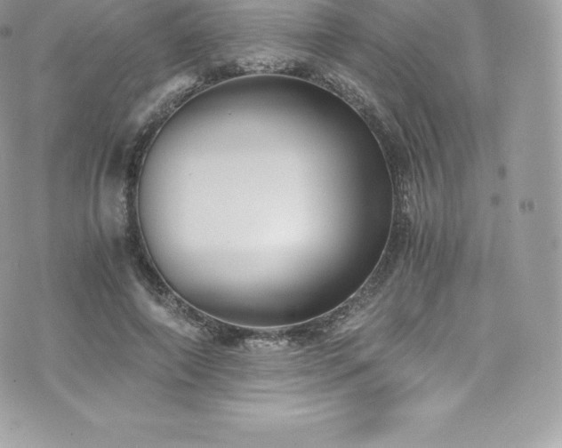 X0000073900690200608111130