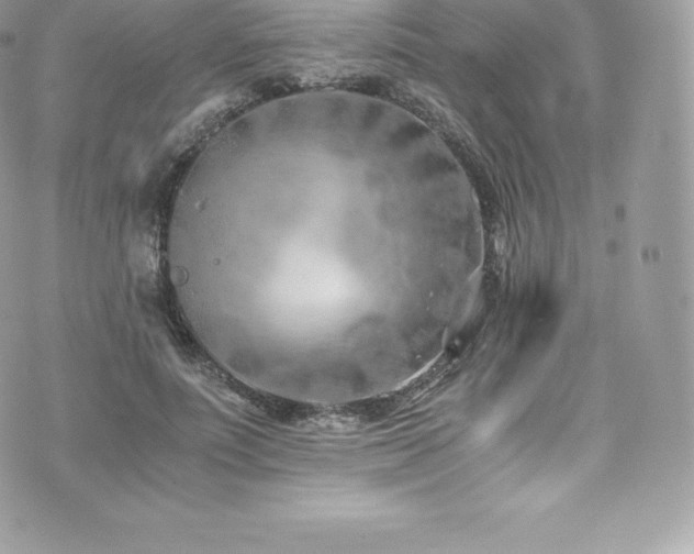 X0000073900691200608111130